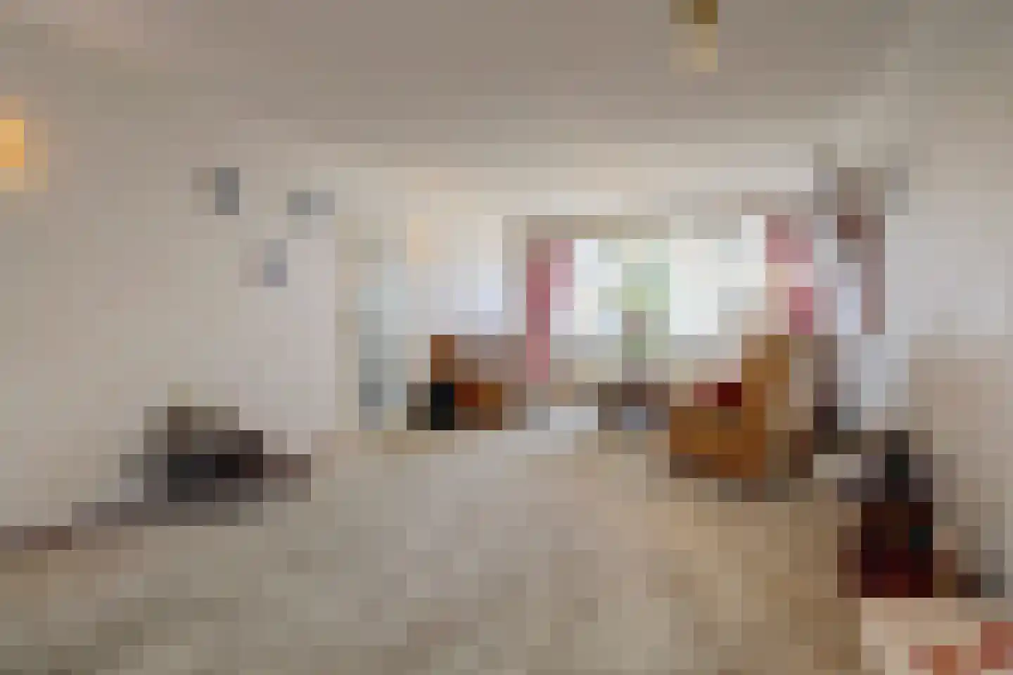 Willem de Zwijgerstraat 86 Veen thumbnail 8