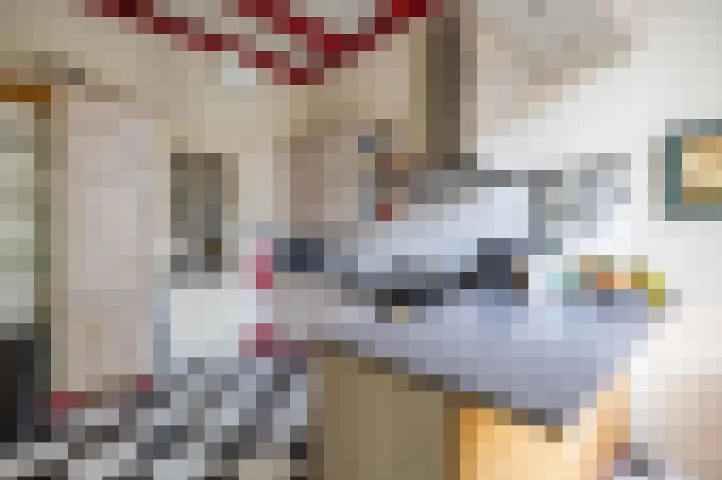 Willem de Zwijgerstraat 9 Baflo thumbnail 10