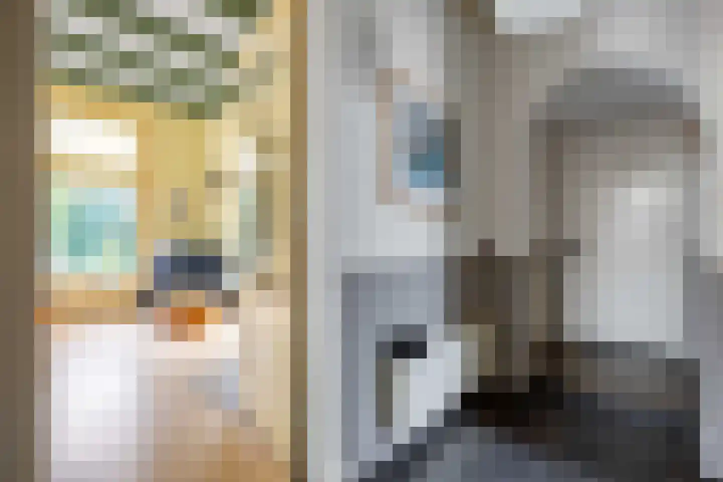 Willem de Zwijgerstraat 9 Baflo thumbnail 13