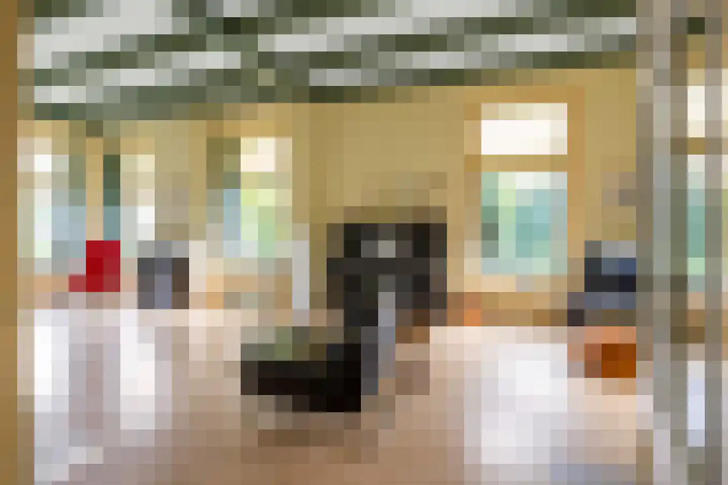 Willem de Zwijgerstraat 9 Baflo thumbnail 14
