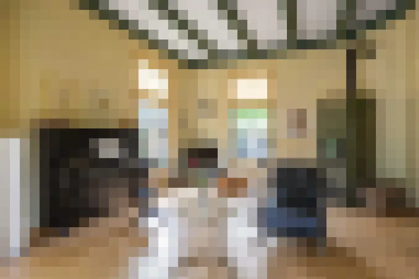 Willem de Zwijgerstraat 9 Baflo thumbnail 22