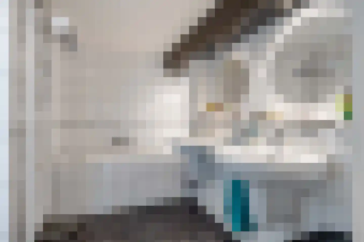 Willem de Zwijgerstraat 9 Baflo thumbnail 28