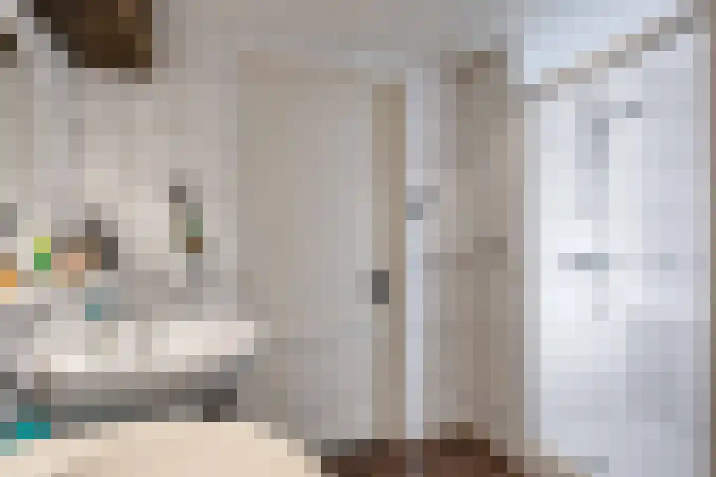 Willem de Zwijgerstraat 9 Baflo thumbnail 29