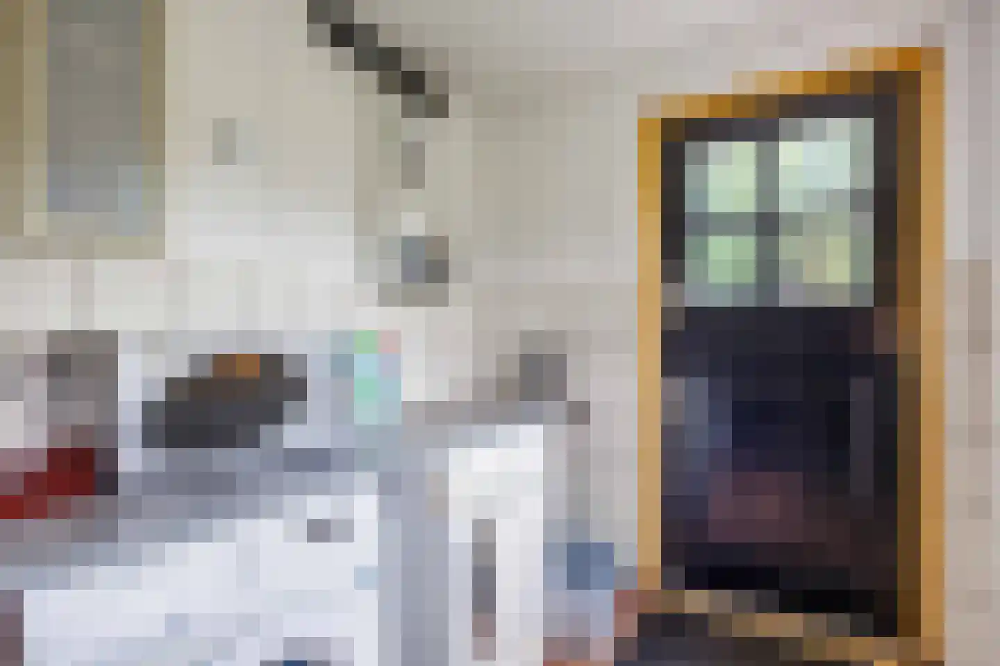 Willem de Zwijgerstraat 9 Baflo thumbnail 34