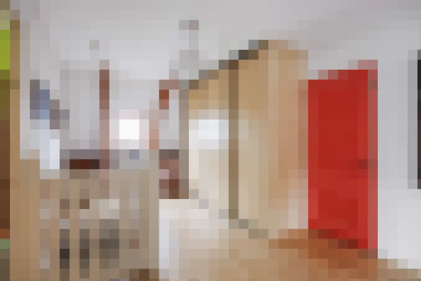 Willem de Zwijgerstraat 9 Baflo thumbnail 38