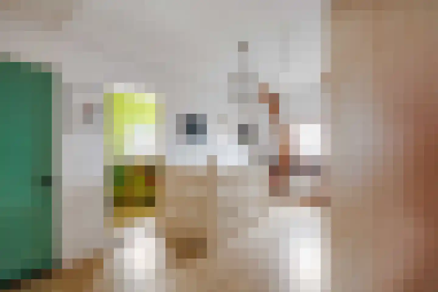 Willem de Zwijgerstraat 9 Baflo thumbnail 39