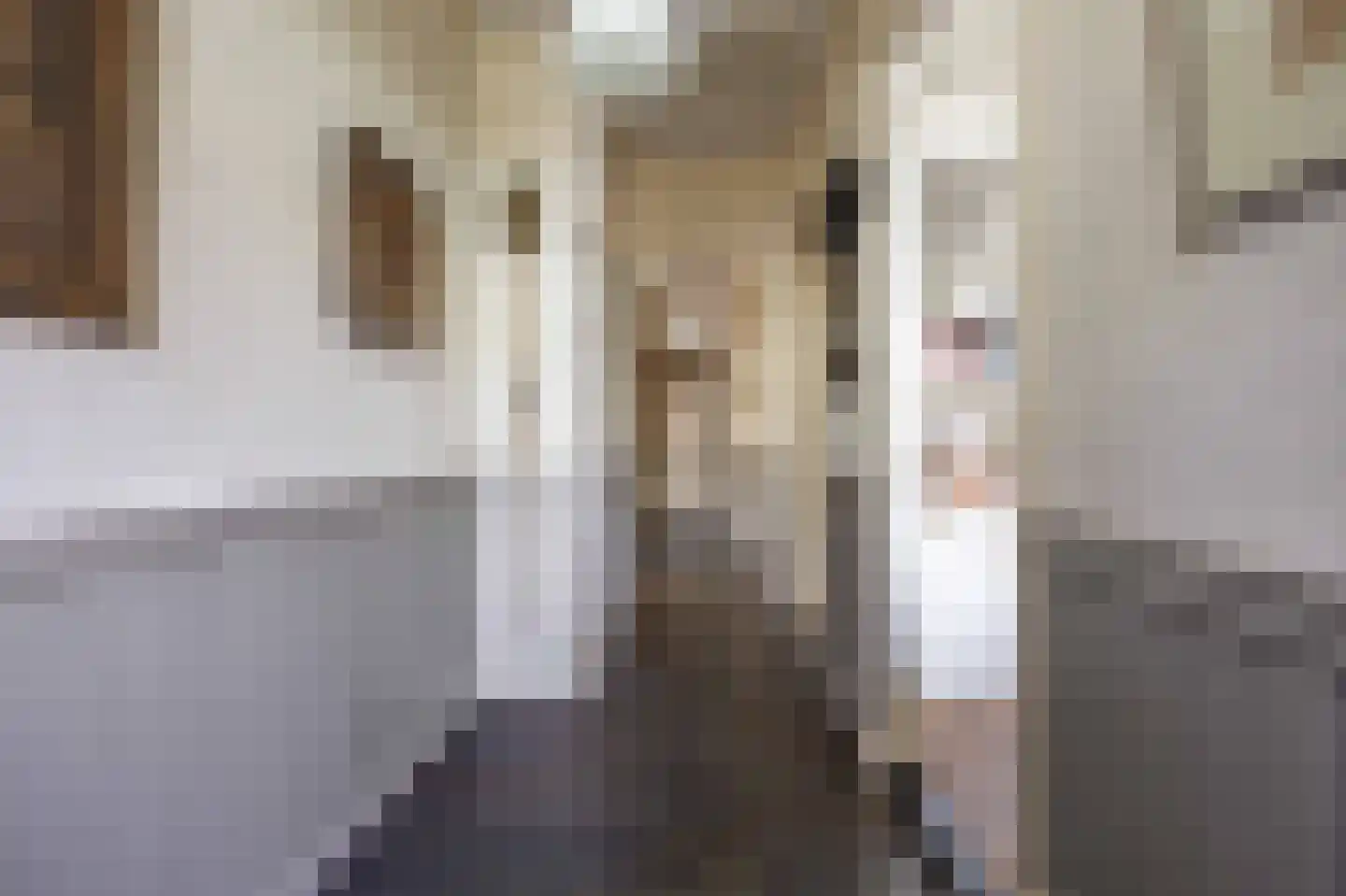 Willem de Zwijgerstraat 9 Baflo thumbnail 4
