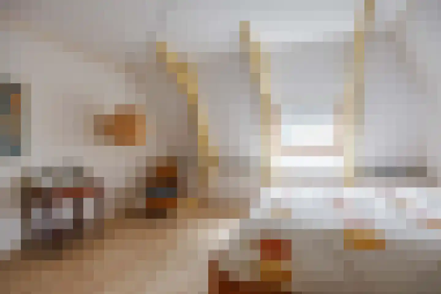 Willem de Zwijgerstraat 9 Baflo thumbnail 48
