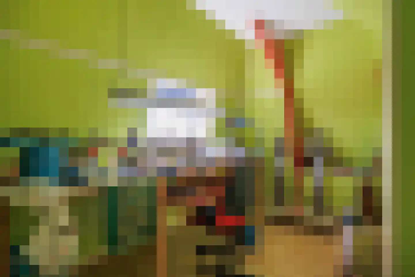 Willem de Zwijgerstraat 9 Baflo thumbnail 52