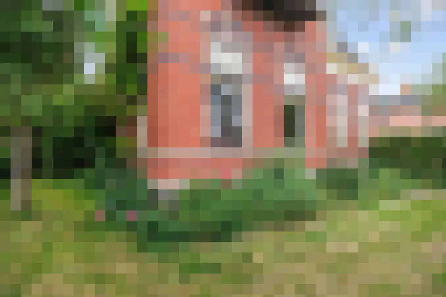 Willem de Zwijgerstraat 9 Baflo thumbnail 59