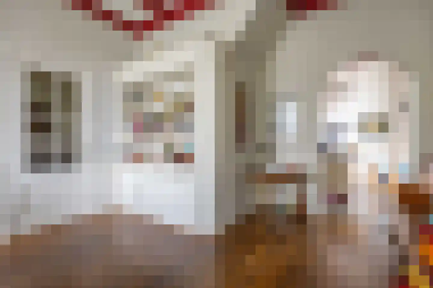 Willem de Zwijgerstraat 9 Baflo thumbnail 6