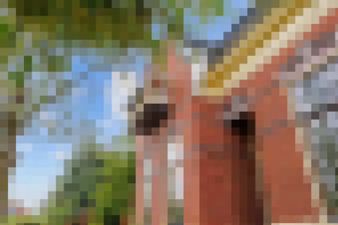 Willem de Zwijgerstraat 9 Baflo thumbnail 61