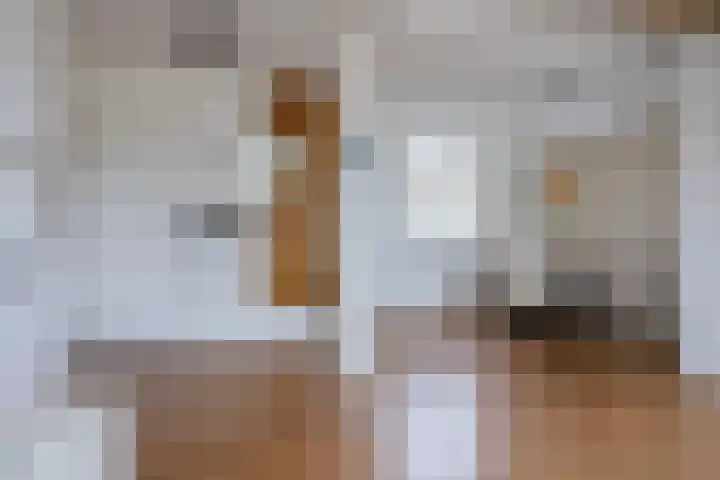 Willem de Zwijgerstraat 91 Sneek thumbnail 12