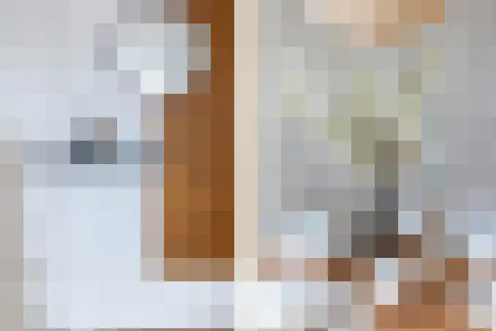 Willem de Zwijgerstraat 91 Sneek thumbnail 13