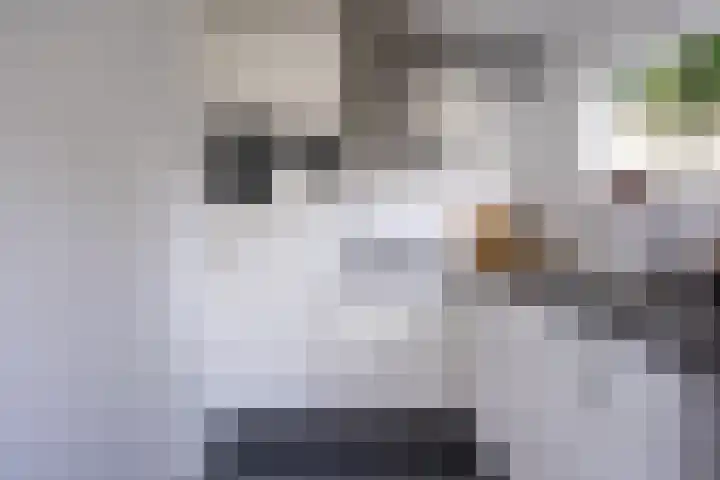 Willem de Zwijgerstraat 91 Sneek thumbnail 21