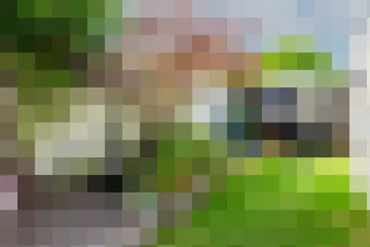 Willem de Zwijgerstraat 91 Sneek thumbnail 37