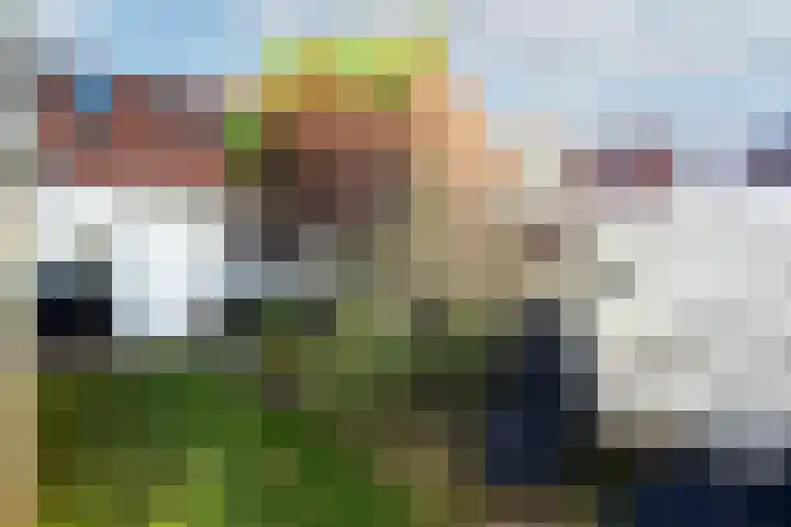 Willem de Zwijgerstraat 91 Sneek thumbnail 39