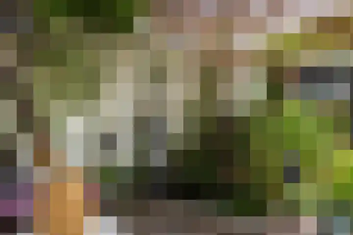Willem de Zwijgerstraat 91 Sneek thumbnail 41