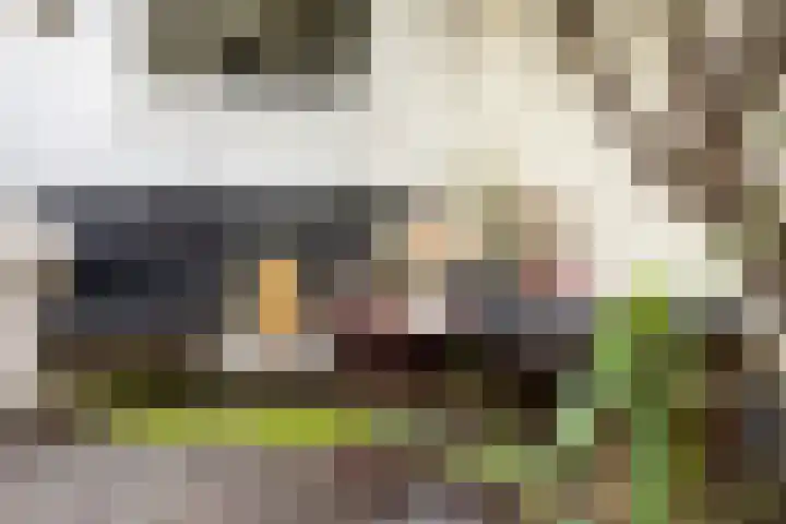 Willem de Zwijgerstraat 91 Sneek thumbnail 43