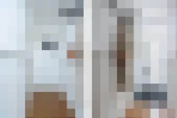 Willem de Zwijgerstraat 91 Sneek thumbnail 6