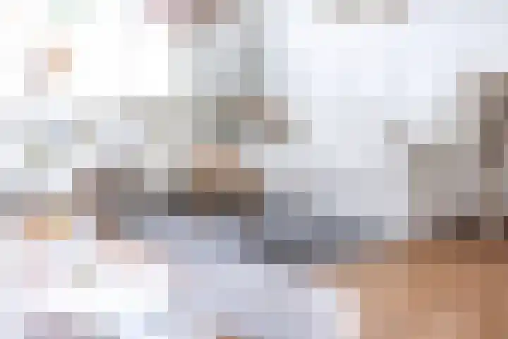 Willem de Zwijgerstraat 91 Sneek thumbnail 9