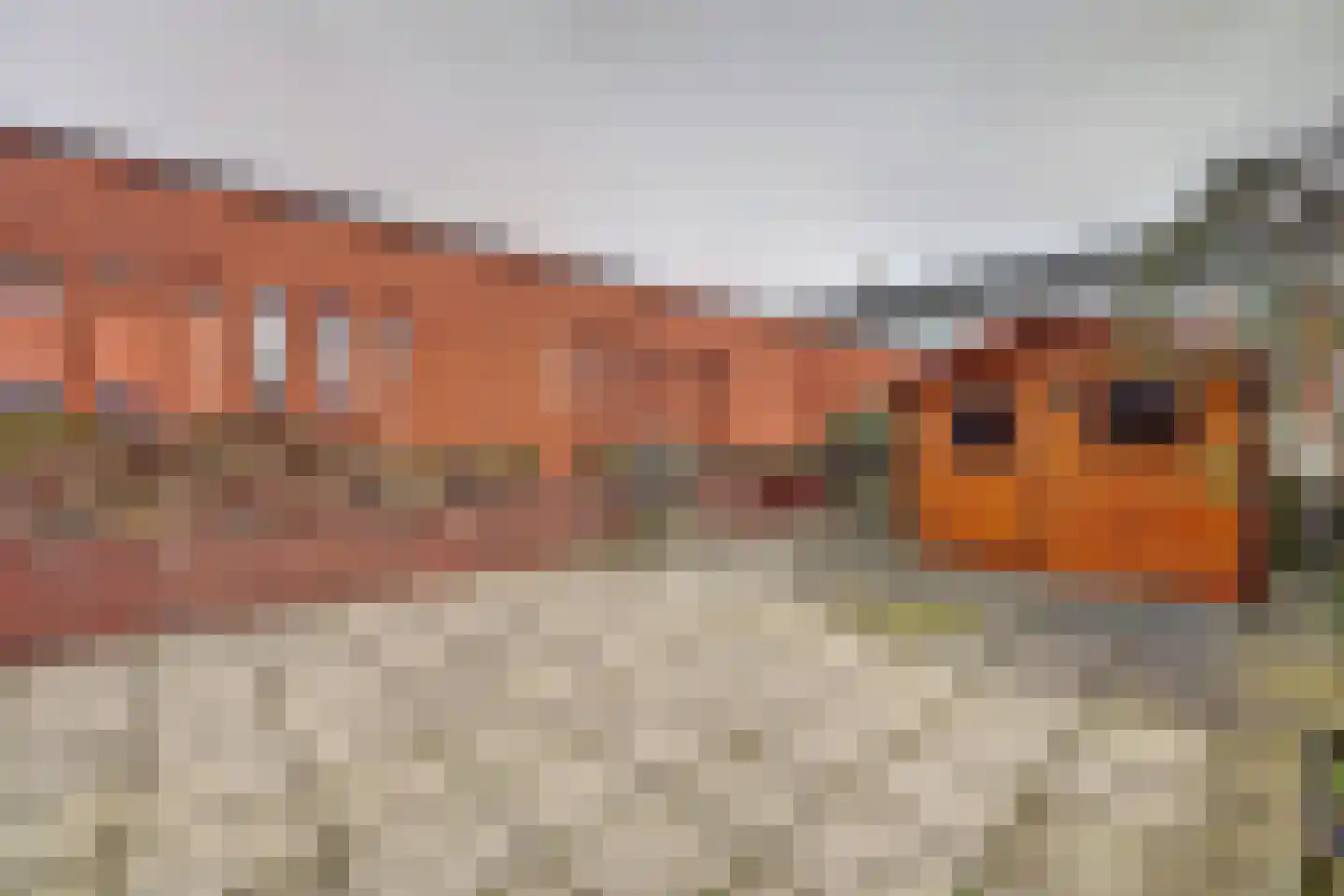 Willem de Zwijgerstraat 94 Hendrik-Ido-Ambacht thumbnail 31