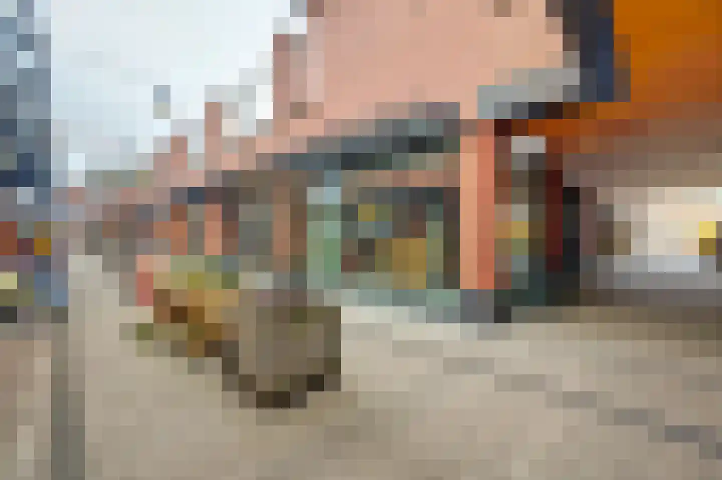 Willem de Zwijgerstraat 94 Hendrik-Ido-Ambacht thumbnail 35