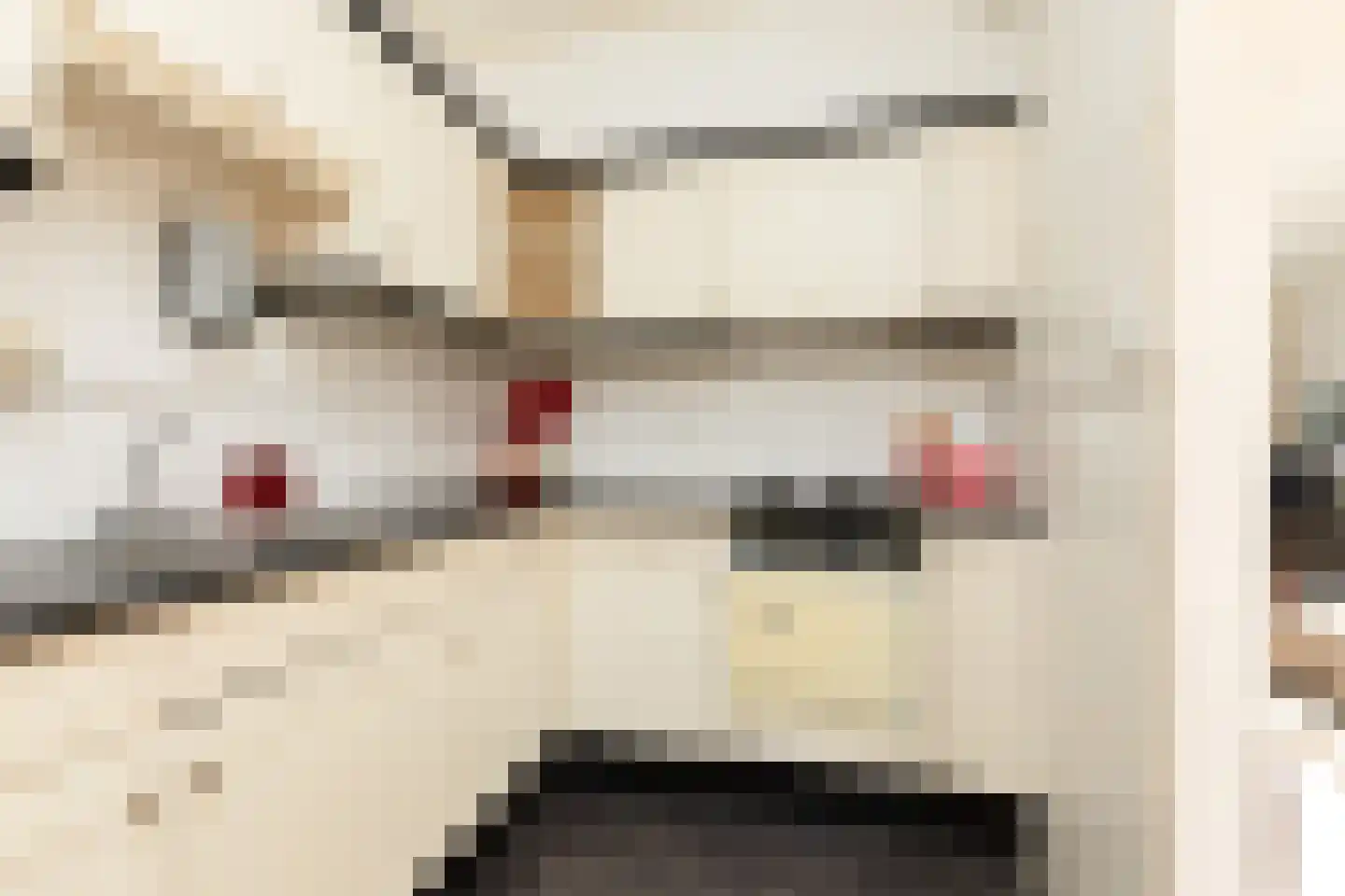 Willem de Zwijgerstraat 94 Sneek thumbnail 10