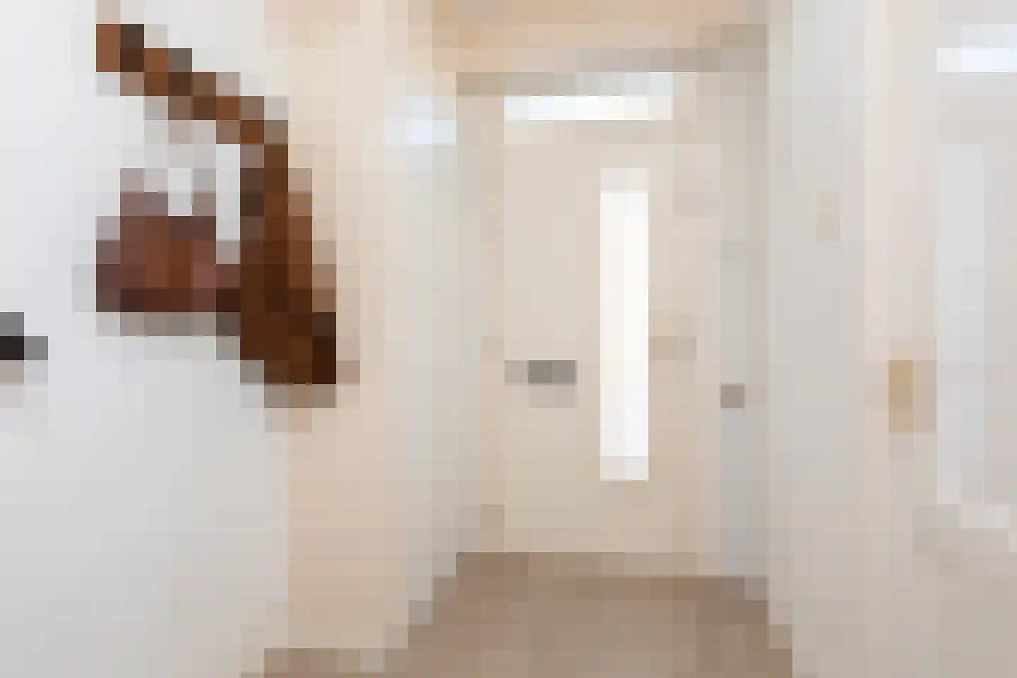 Willem de Zwijgerstraat 94 Sneek thumbnail 17