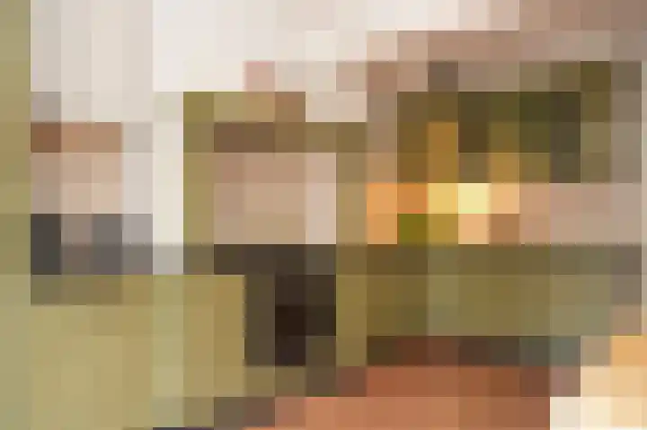 Willem de Zwijgerstraat 94 Veen thumbnail 13