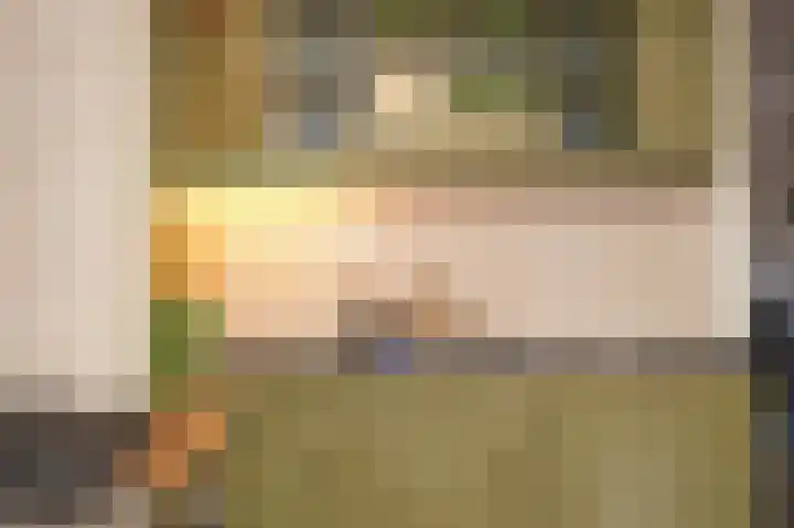 Willem de Zwijgerstraat 94 Veen thumbnail 14