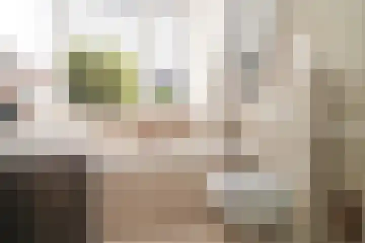 Willem de Zwijgerstraat 94 Veen thumbnail 20
