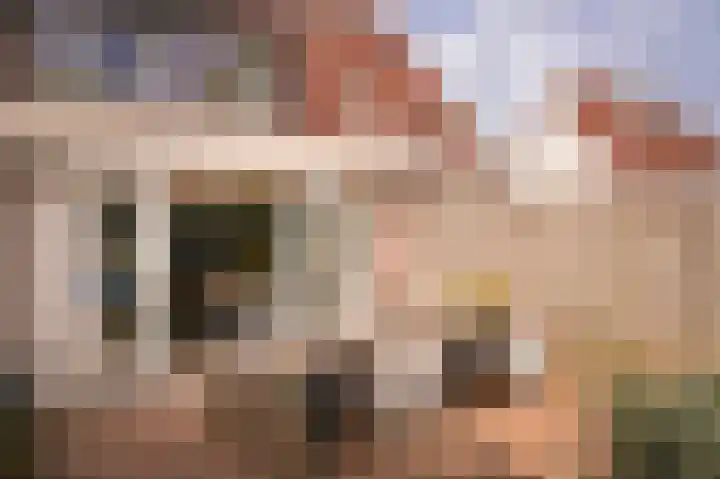 Willem de Zwijgerstraat 94 Veen thumbnail 28