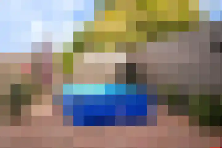Willem de Zwijgerstraat 94 Veen thumbnail 32