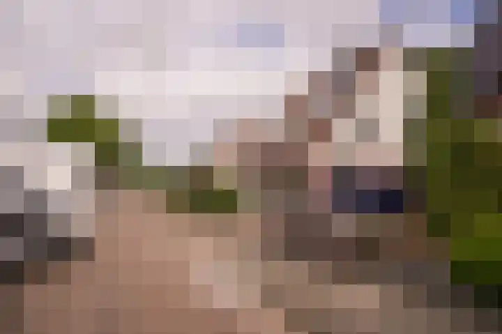 Willem de Zwijgerstraat 94 Veen thumbnail 35