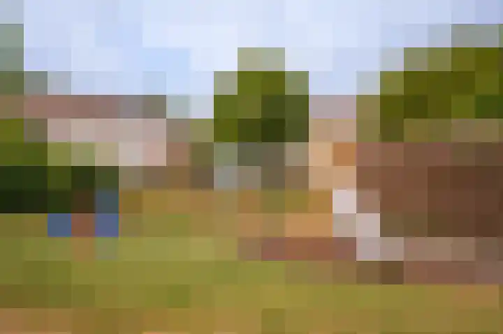 Willem de Zwijgerstraat 94 Veen thumbnail 36