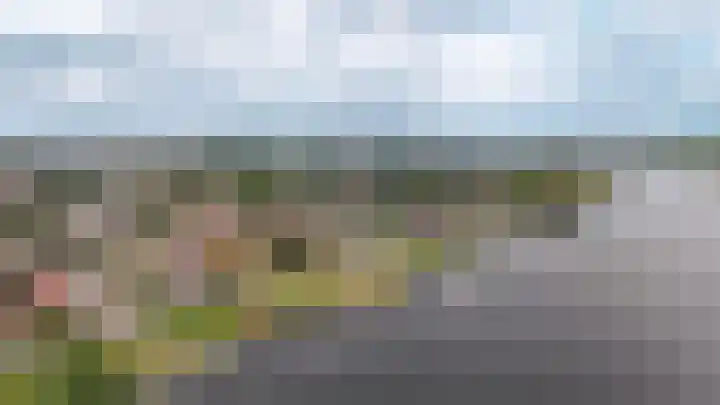 Willem de Zwijgerstraat 94 Veen thumbnail 39