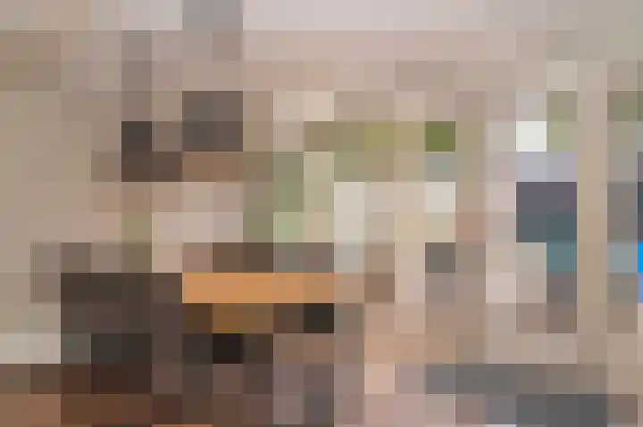 Willem de Zwijgerstraat 94 Veen thumbnail 8