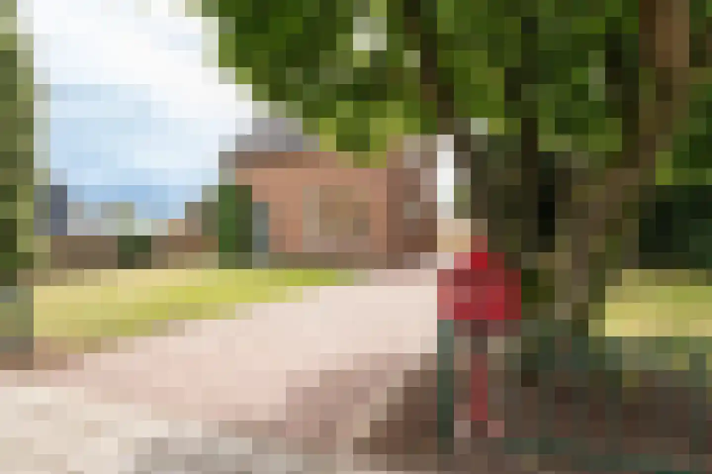 Willem de Zwijgerweg 103 Geldermalsen thumbnail 23