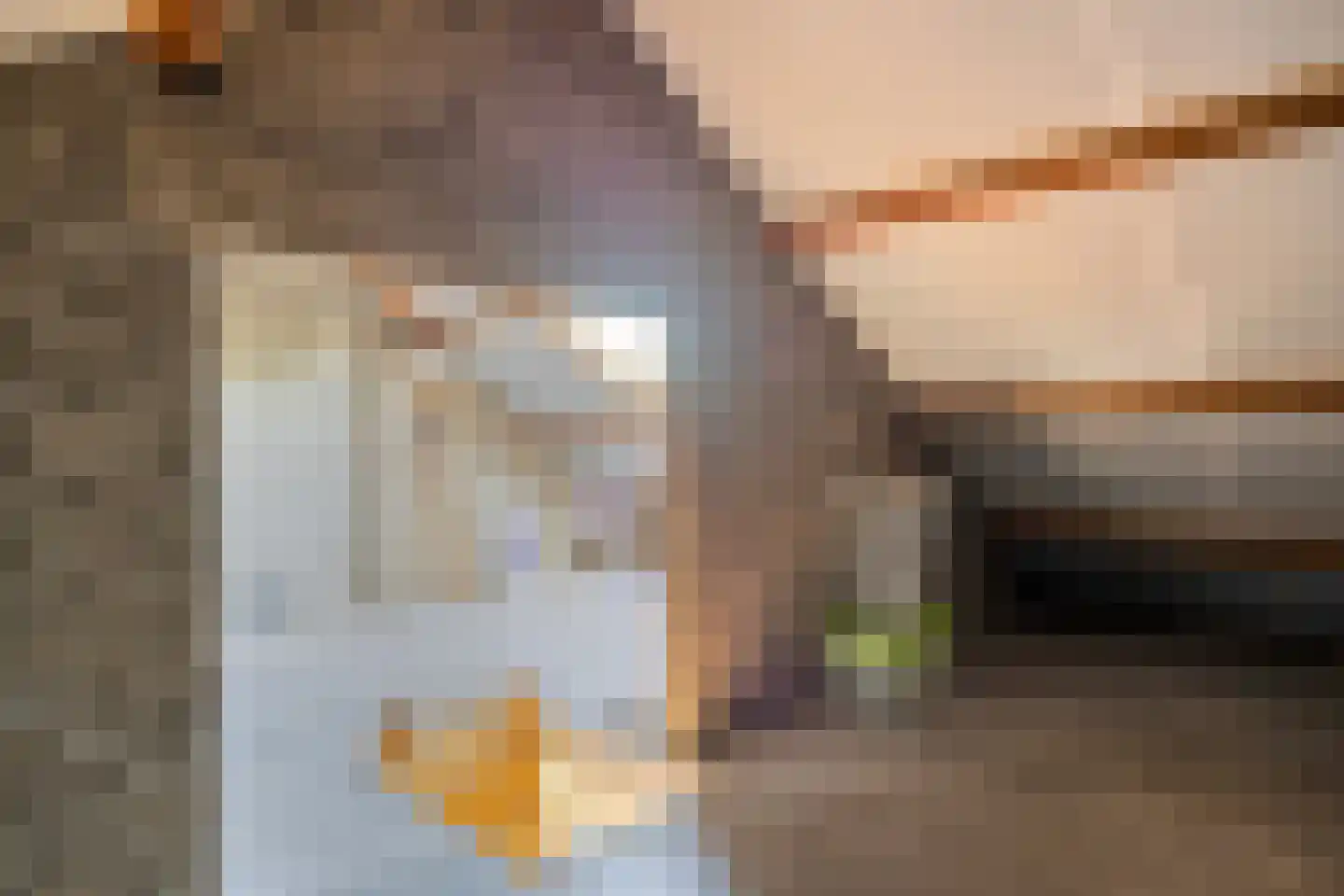Willem de Zwijgerweg 104 Best thumbnail 27