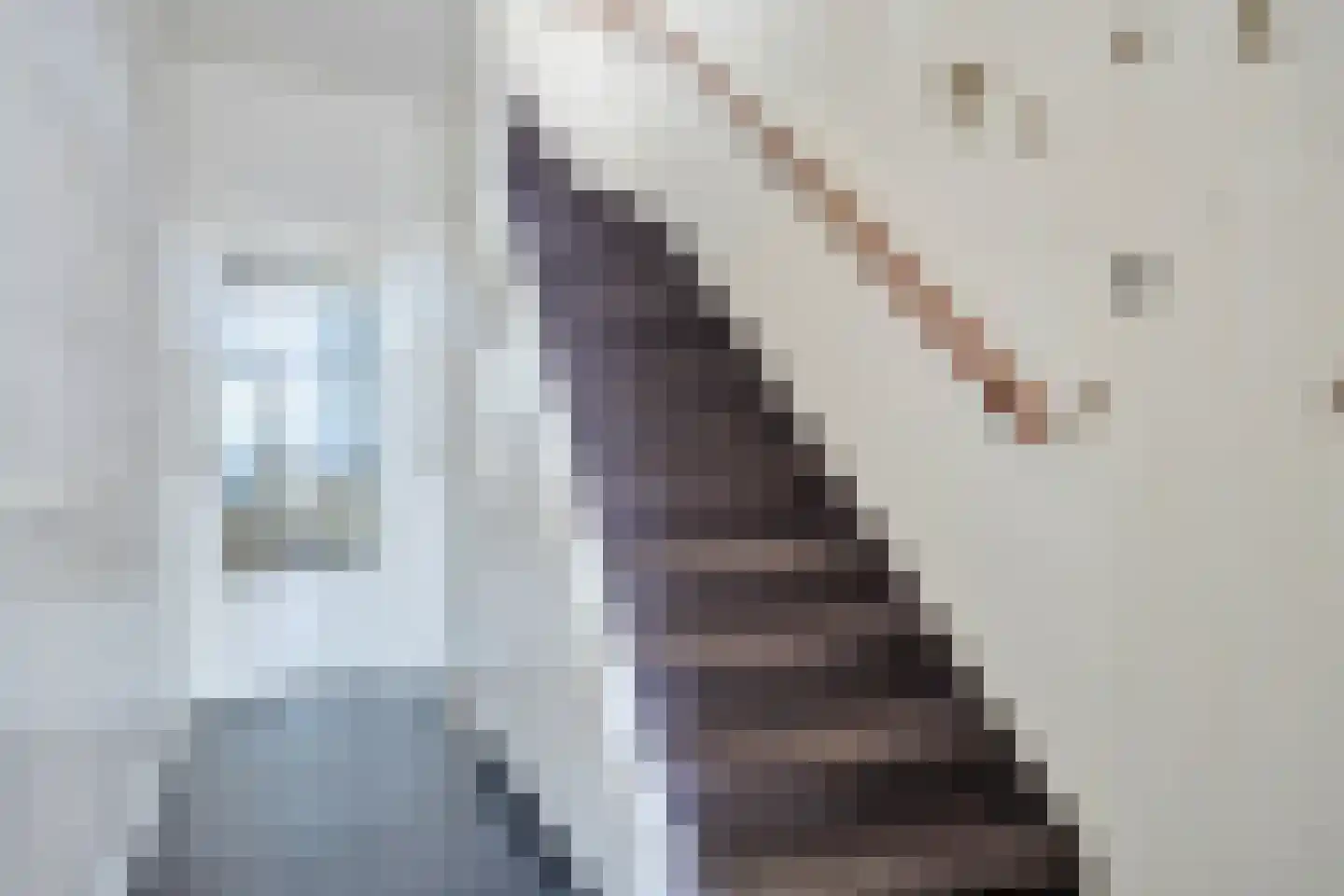 Willem de Zwijgerweg 104 Best thumbnail 4
