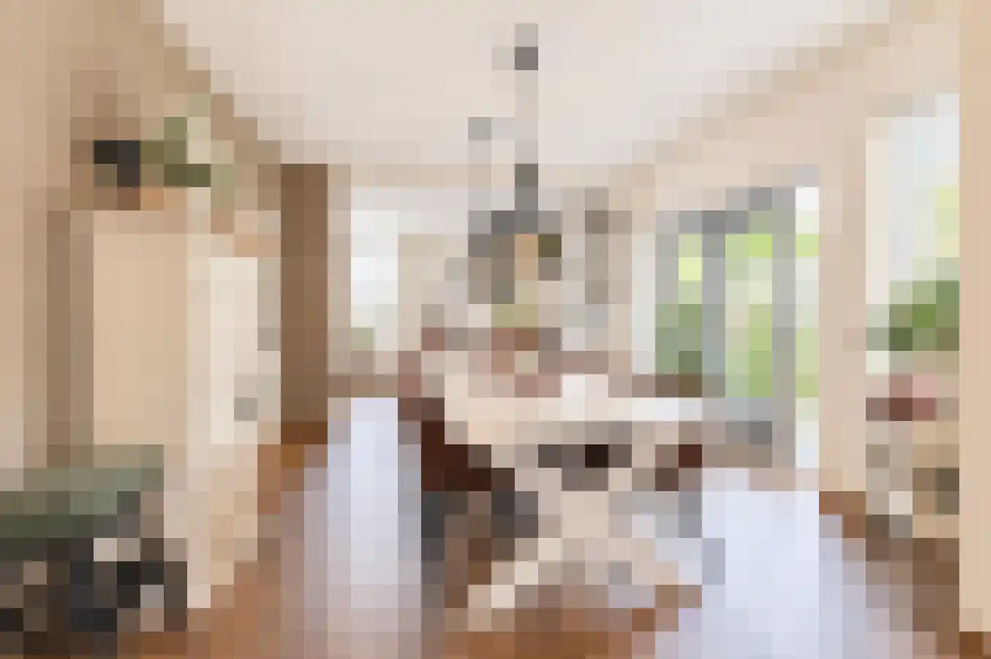 Willem de Zwijgerweg 32 Geldermalsen thumbnail 13