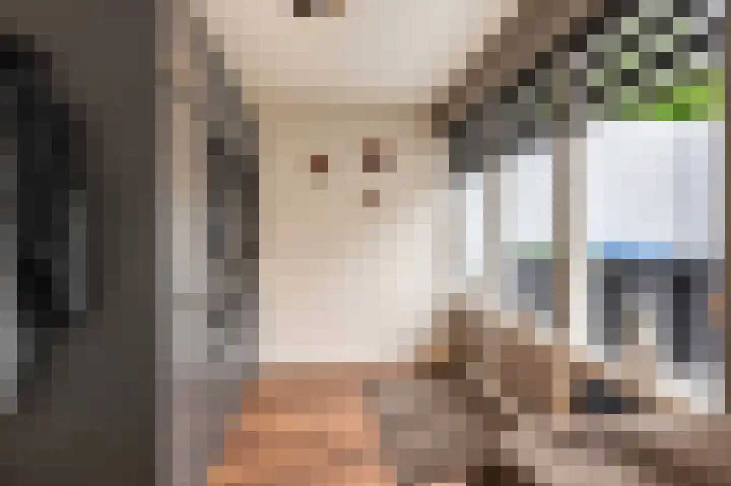 Willem de Zwijgerweg 32 Geldermalsen thumbnail 16