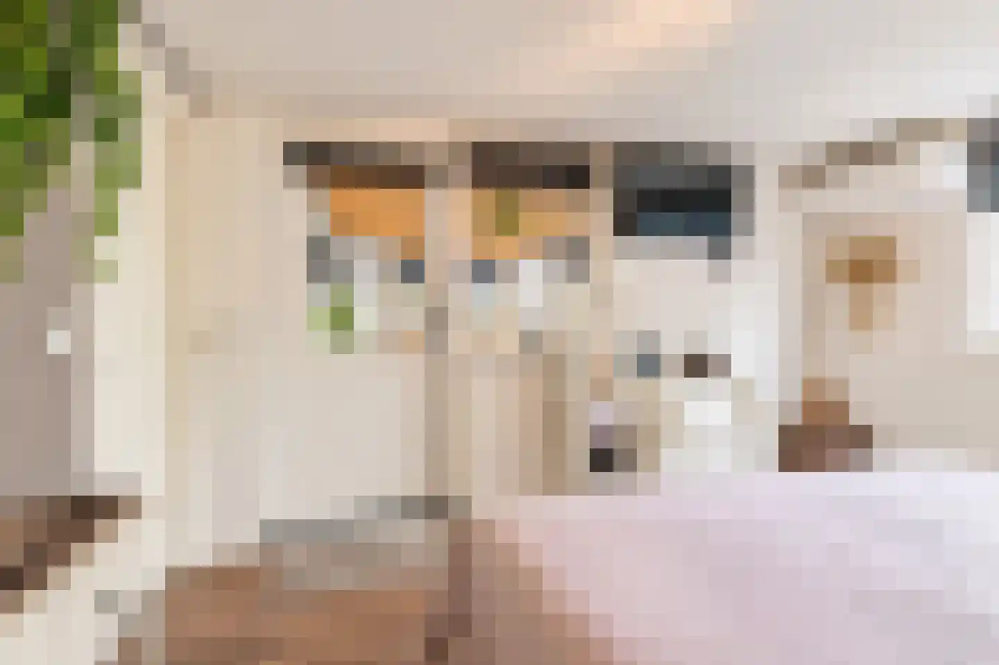 Willem de Zwijgerweg 32 Geldermalsen thumbnail 19