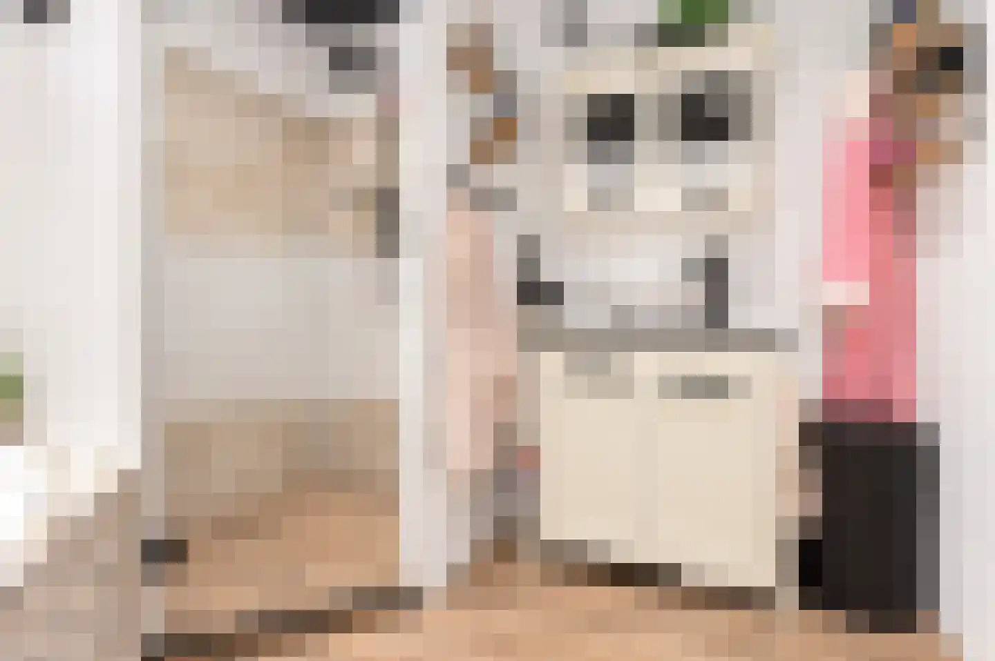 Willem de Zwijgerweg 32 Geldermalsen thumbnail 22