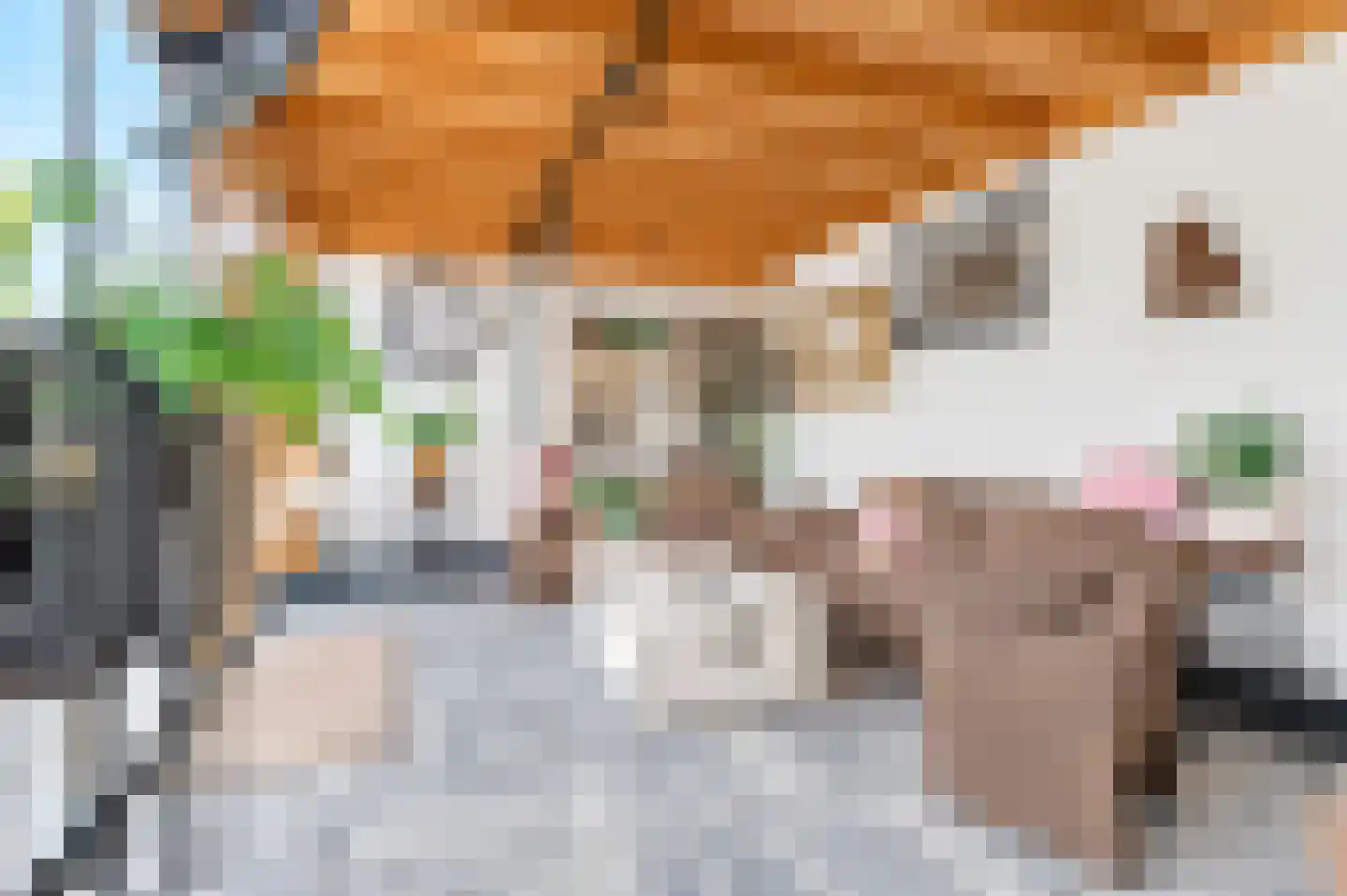 Willem de Zwijgerweg 32 Geldermalsen thumbnail 24