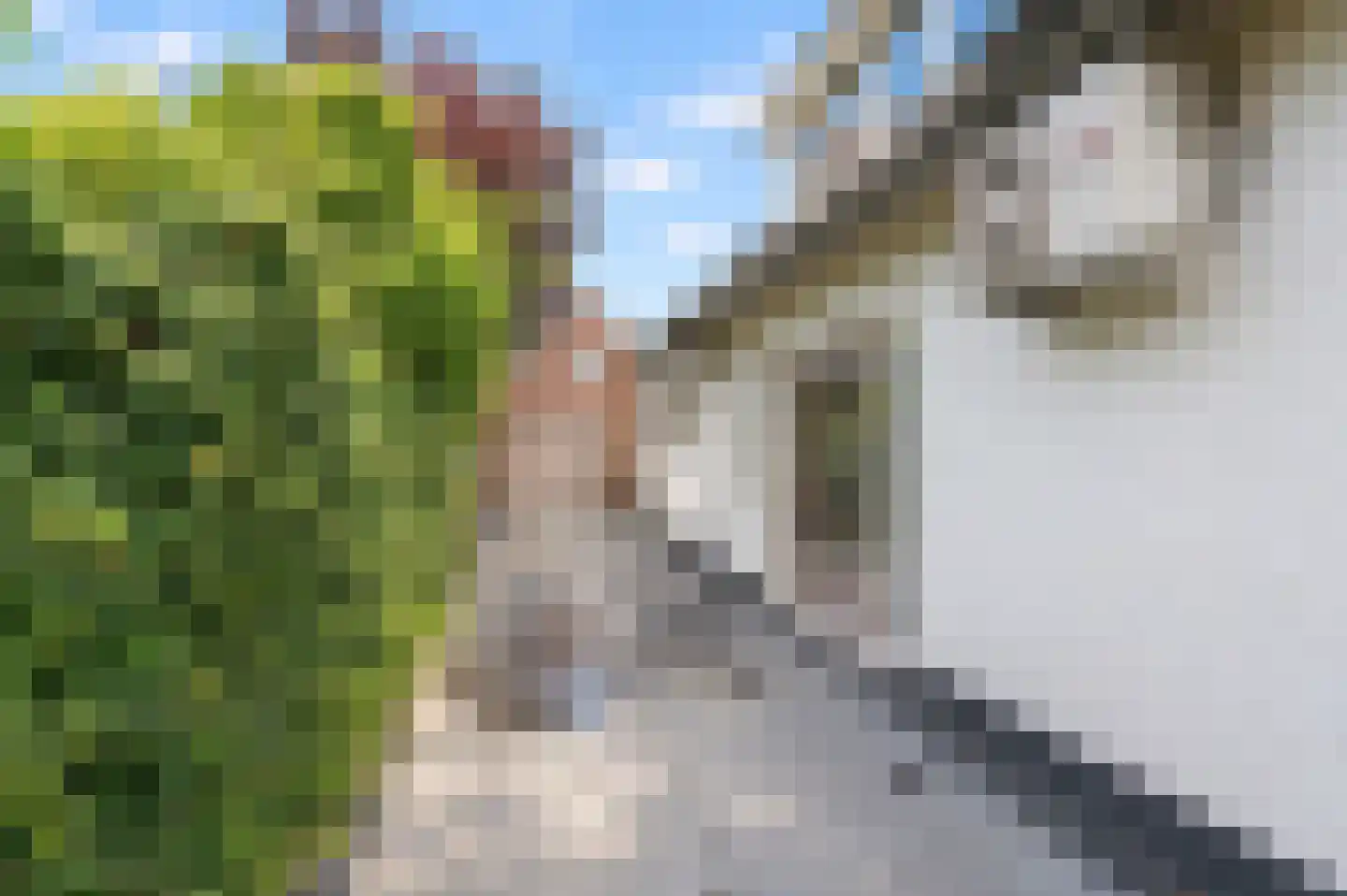 Willem de Zwijgerweg 32 Geldermalsen thumbnail 32