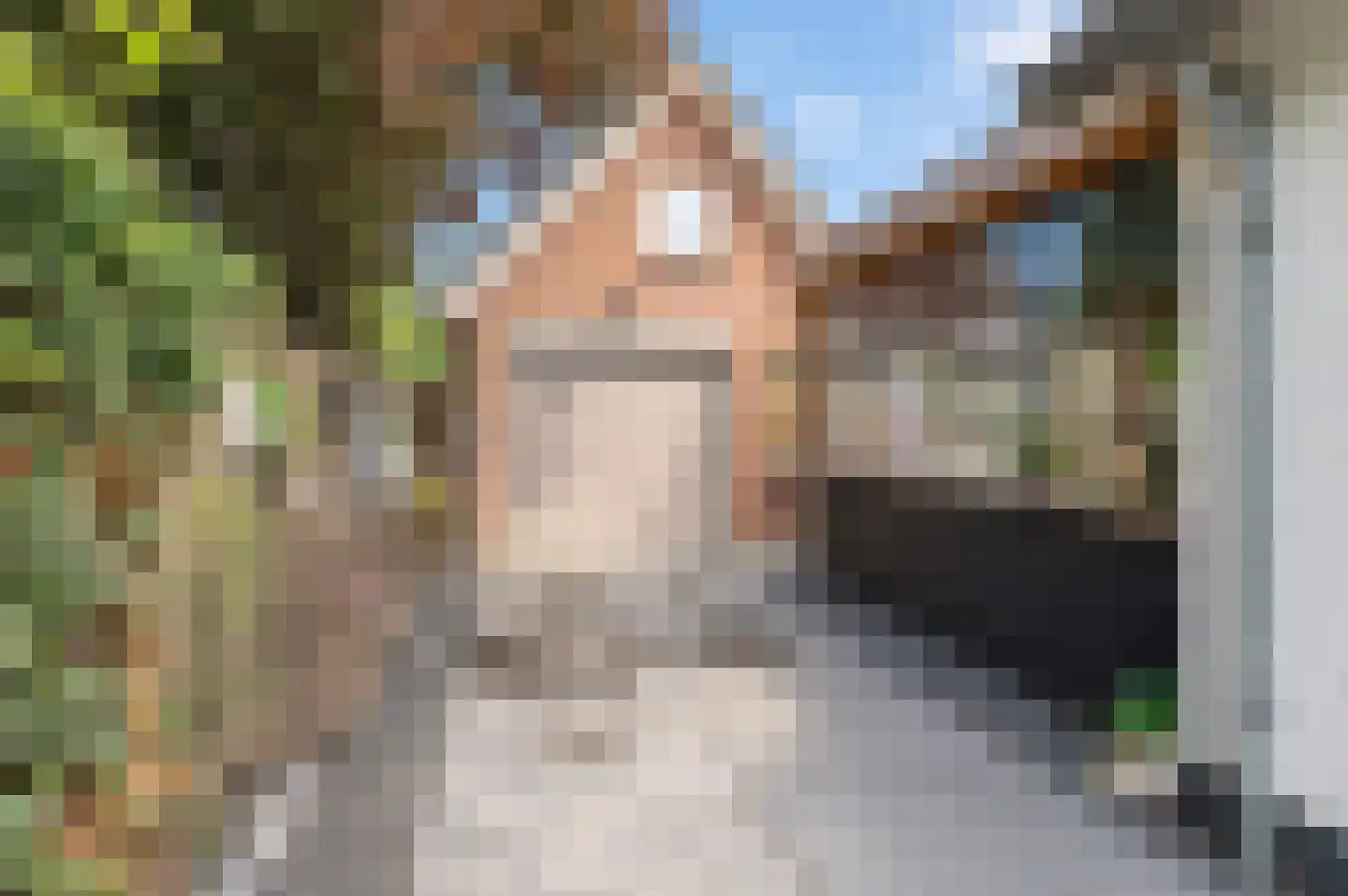 Willem de Zwijgerweg 32 Geldermalsen thumbnail 33