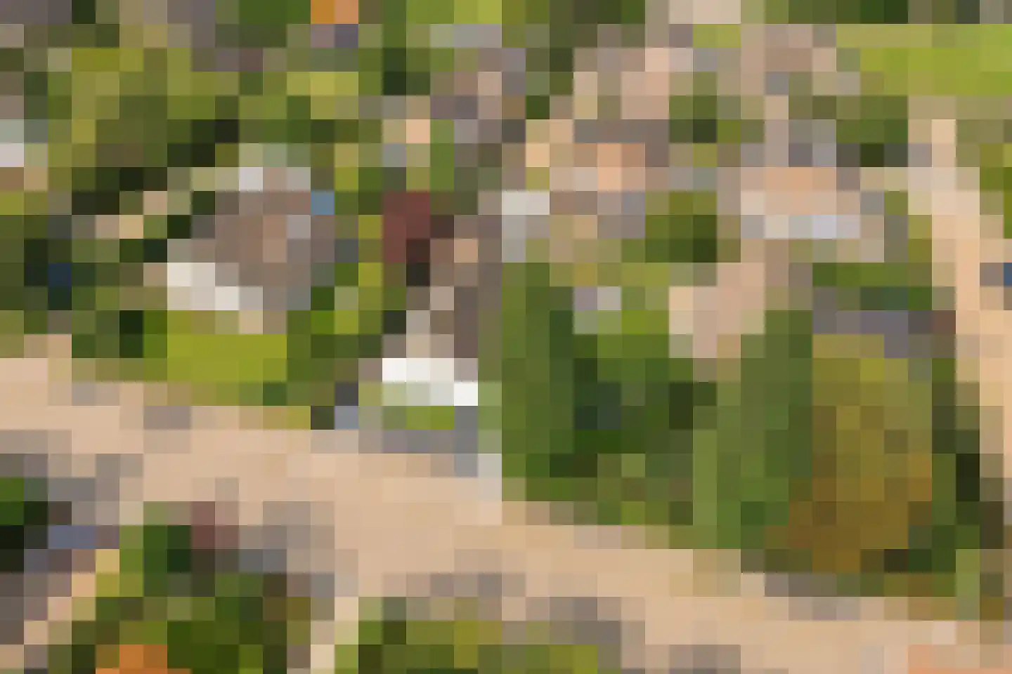 Willem de Zwijgerweg 32 Geldermalsen thumbnail 38