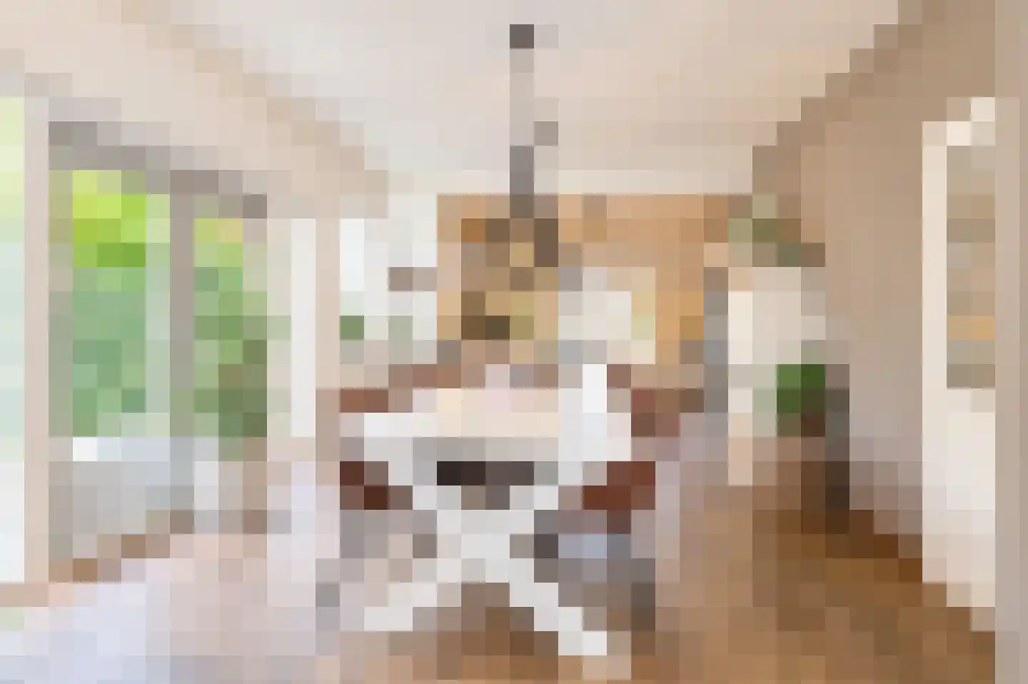 Willem de Zwijgerweg 32 Geldermalsen thumbnail 9